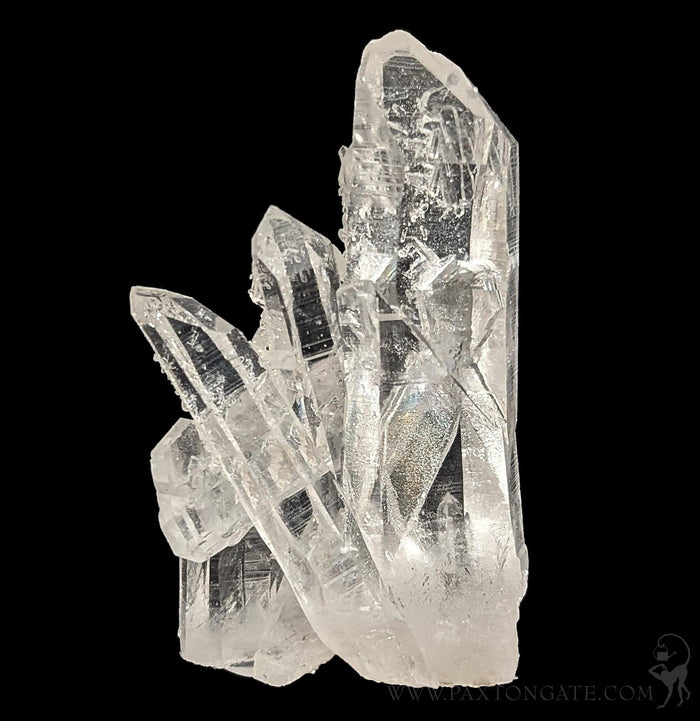 Arkansas Quartz Crystal Cluster-Minerals-Crystal City Inc.-PaxtonGate
