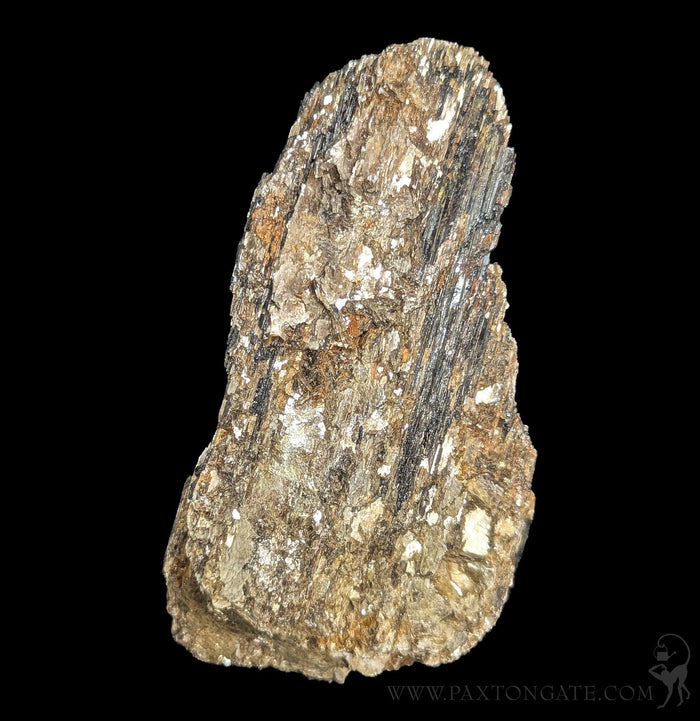 Black Tourmaline Crystal with pyrite-Minerals-Mining Moura-PaxtonGate