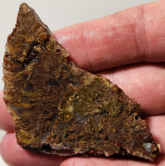 Bloody Basin Plume Agate Slab