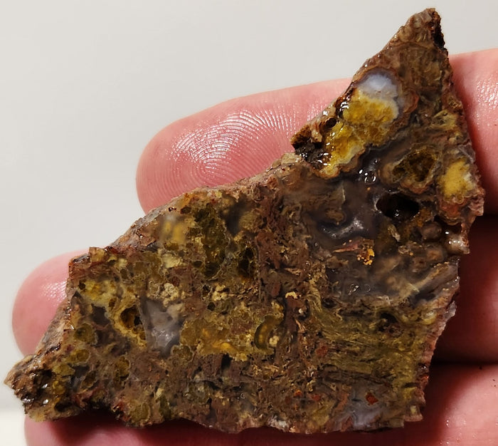 Bloody Basin Plume Agate Slab