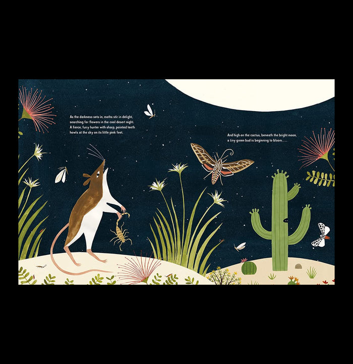 The Night Flower-Books-Penguin Random House-PaxtonGate